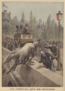 Suicidio di un cavallo